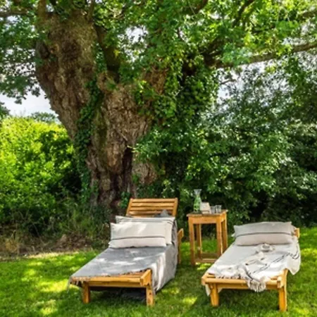 Spacious With Large Garden Villa *